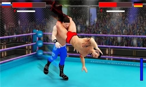 Wrestling Stars