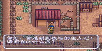 牧场物语：矿石镇的伙伴们