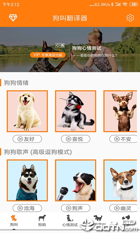 猫叫狗叫翻译器