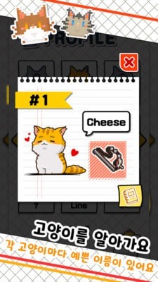 鱼店猫老板 鱼店猫老板