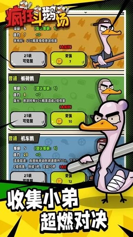 疯狂斗鹅场 疯狂斗鹅场