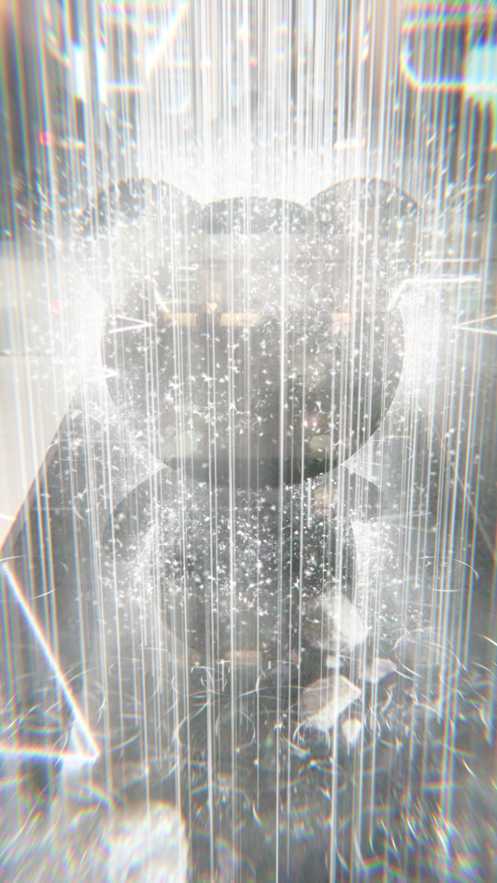 hipandanow安卓版