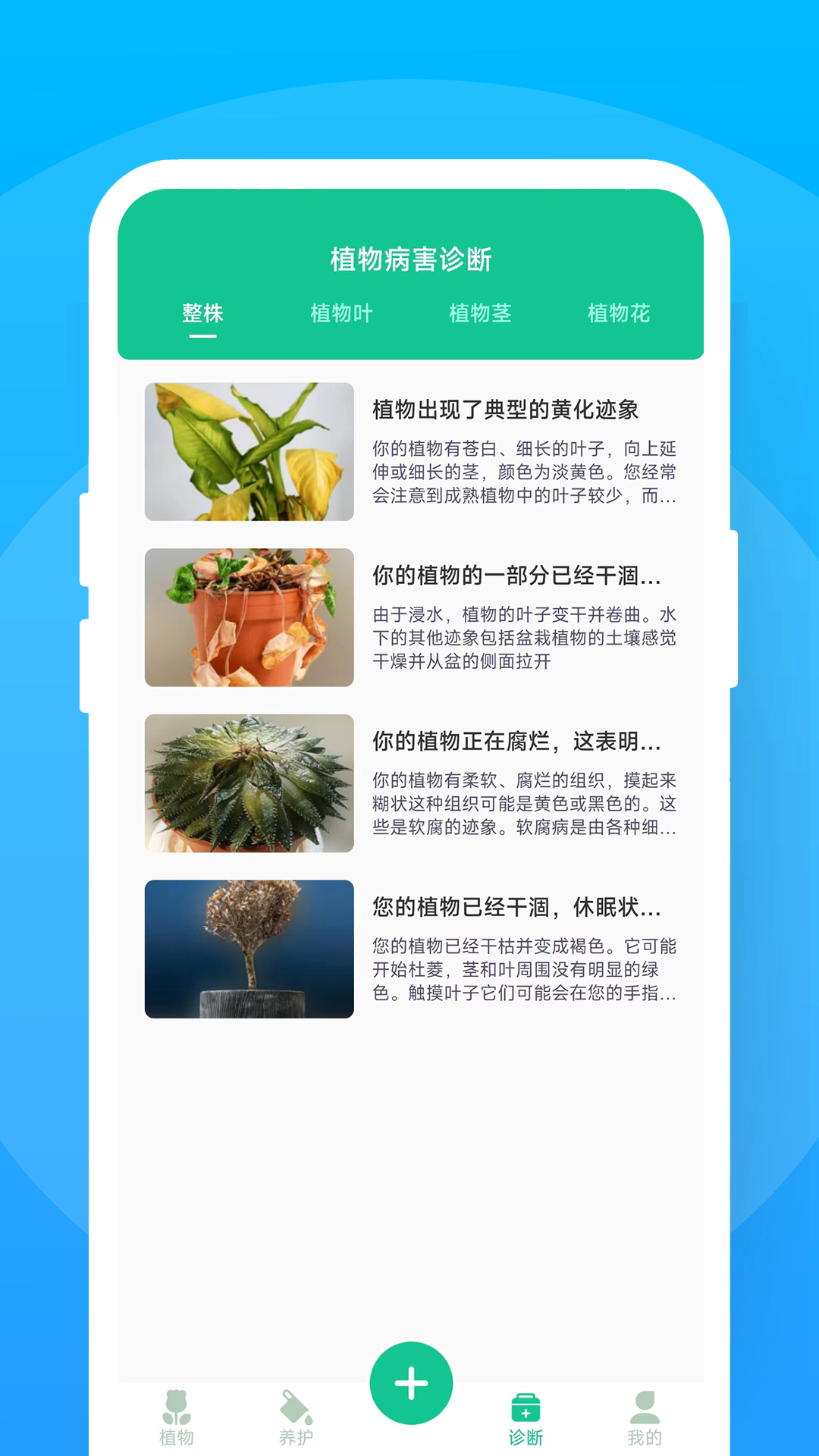 暖暖花花