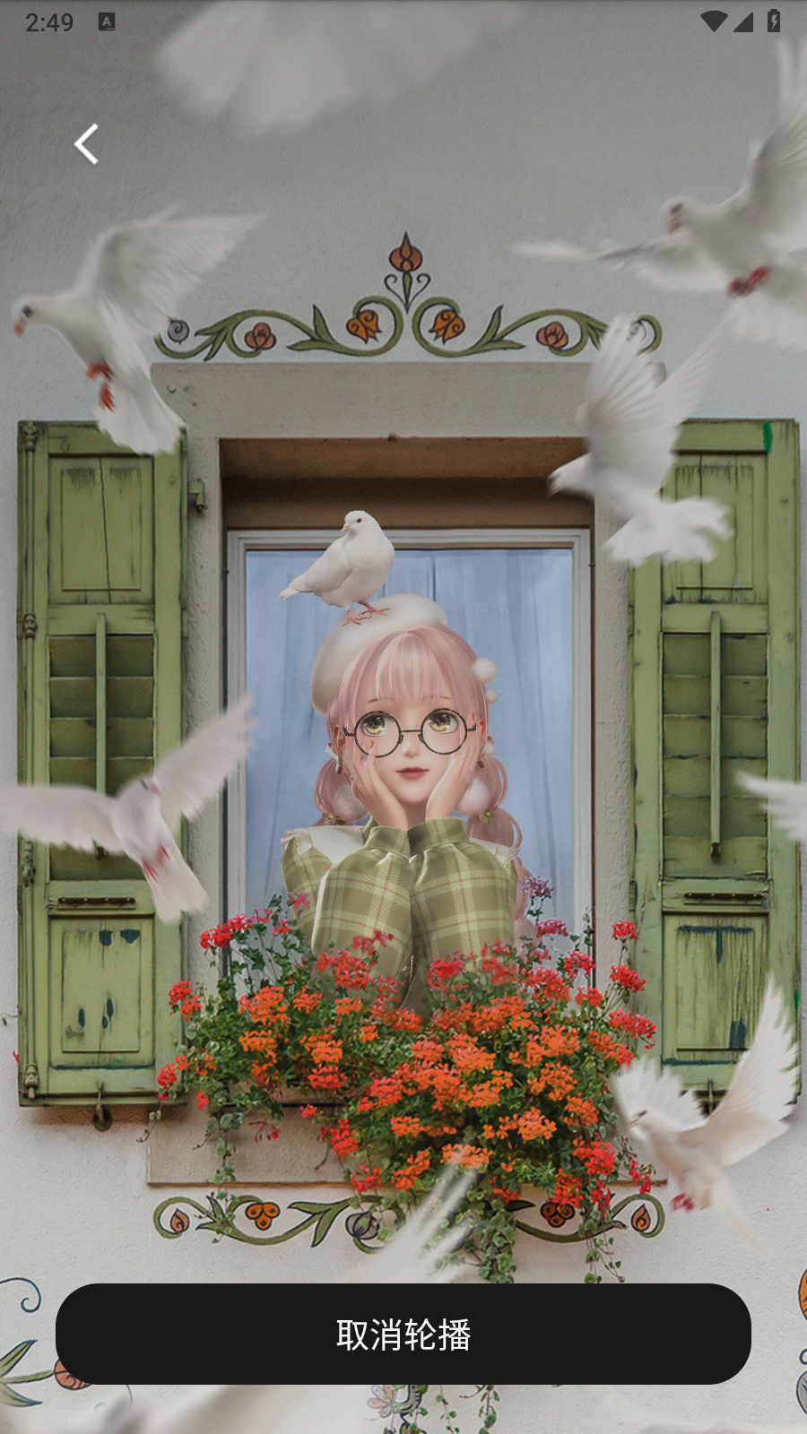 动感画报