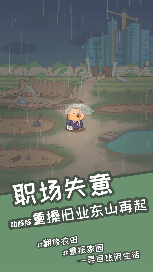 慢豚豚的生活 慢豚豚的生活