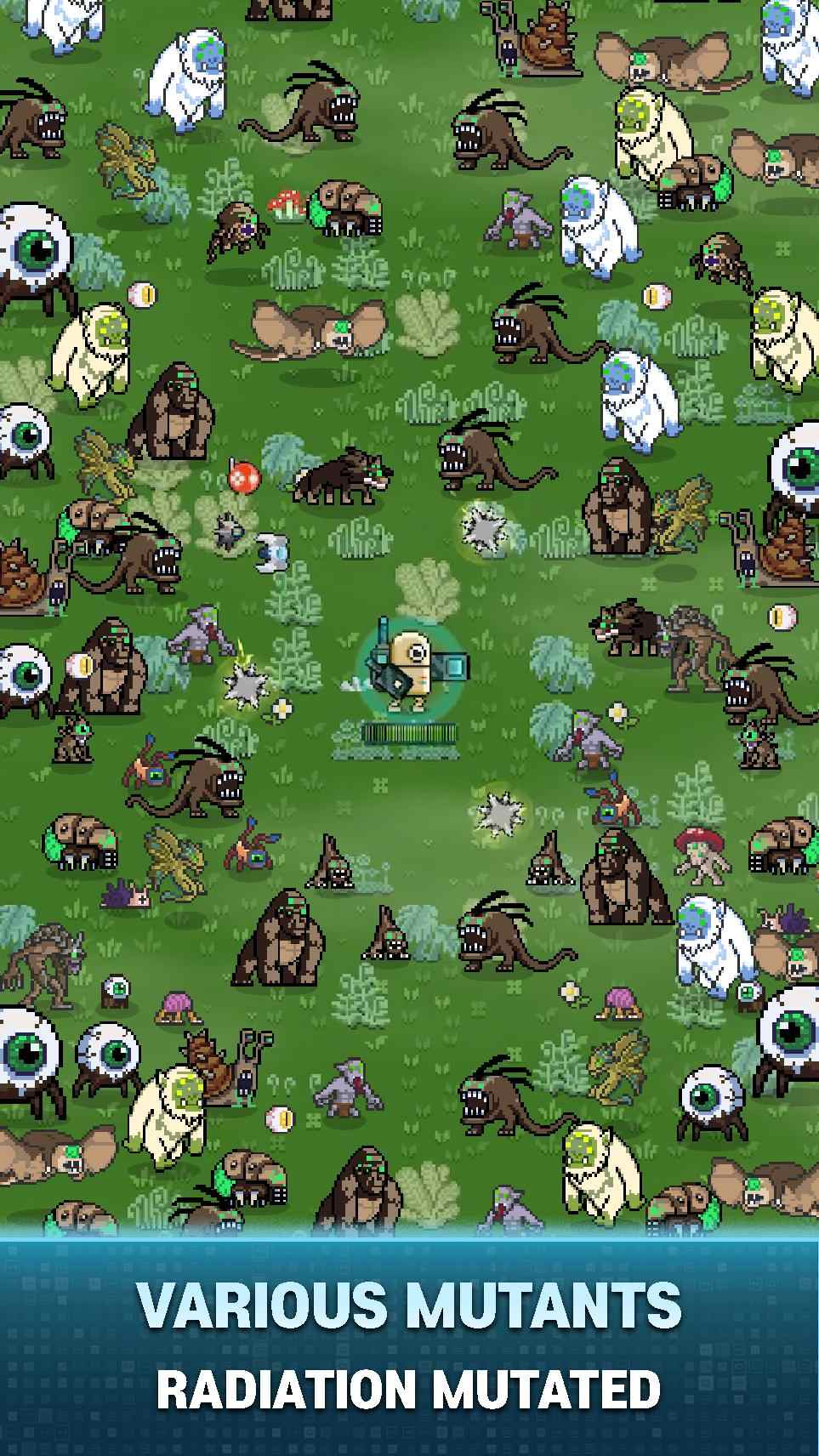 清洁地球计划 清洁地球计划