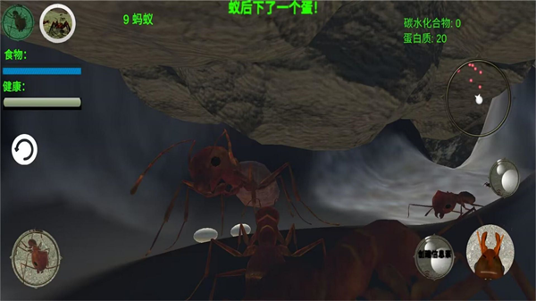 奇妙动物园最新版2025