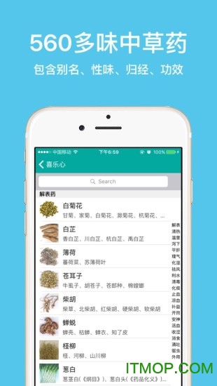 大中医