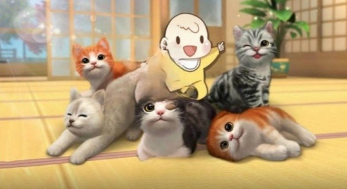 猫咪奇幻世界探险 猫咪奇幻世界探险