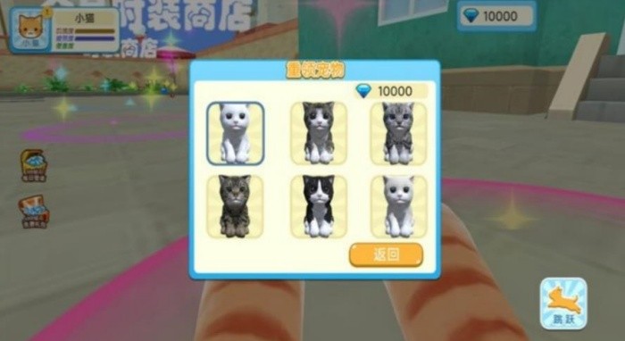 猫咪奇幻世界探险