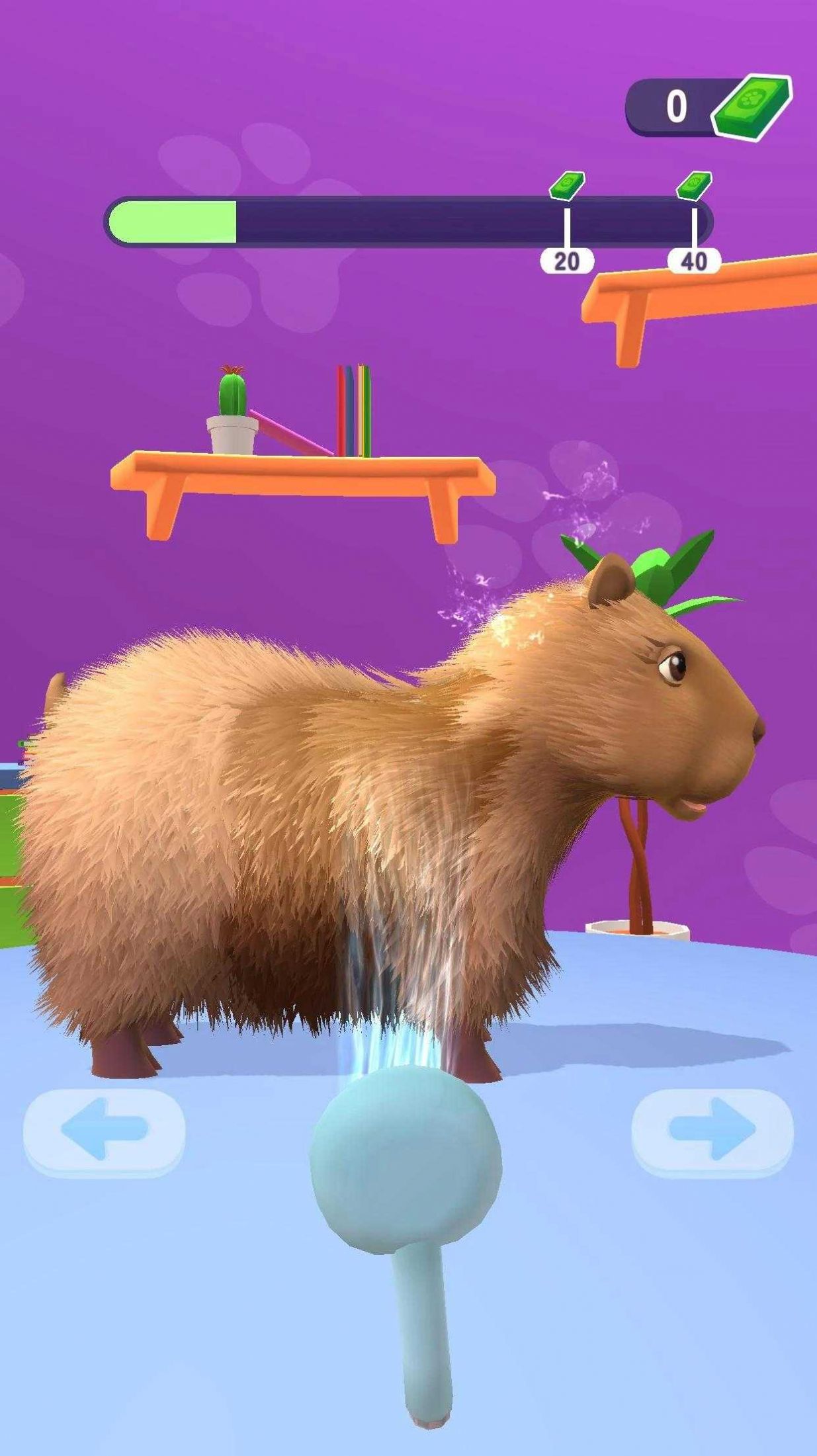 宠物美容理发店(Pet Groomer Animal Barbershop)