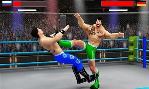 Wrestling Stars