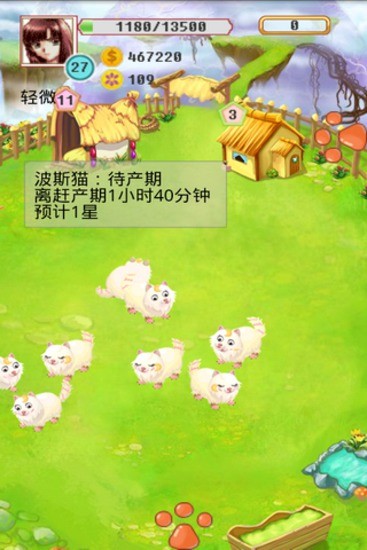 疯狂牧场