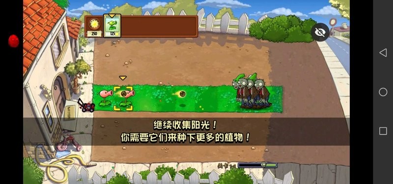 PVZ小葵花