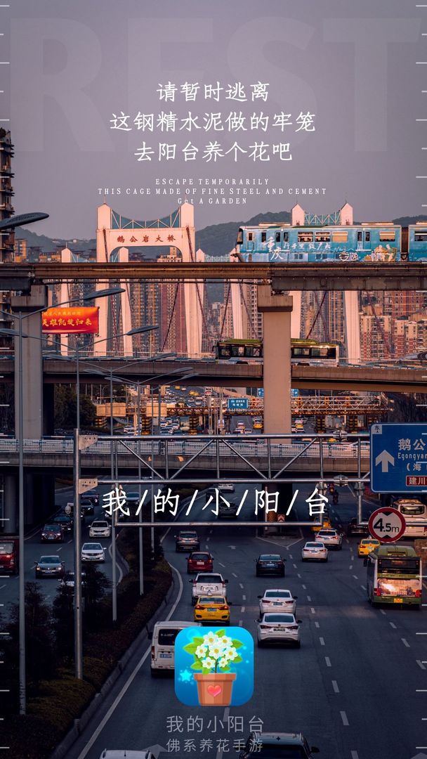 我的小阳台