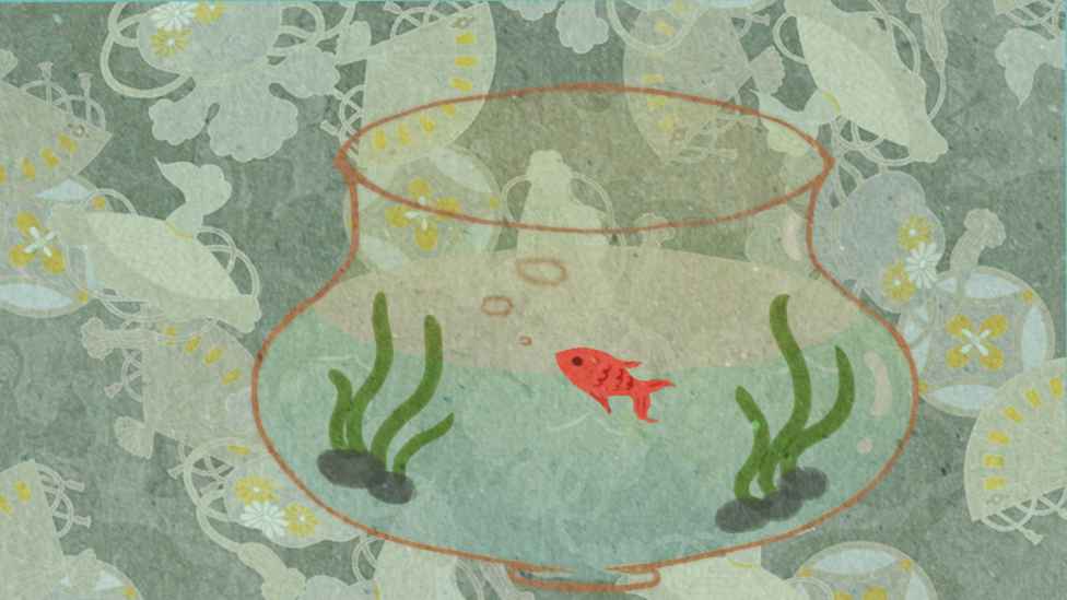 yuuufeedingplan(鱼悠悠养成计划)