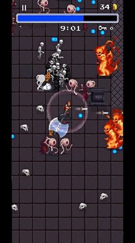 吸血鬼幸存者3 吸血鬼幸存者3