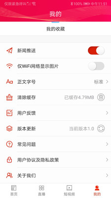 掌上桃江