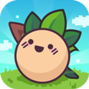 大头菜菜历险记