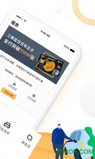 小金豆