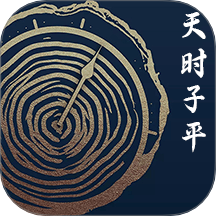 天时子平排盘