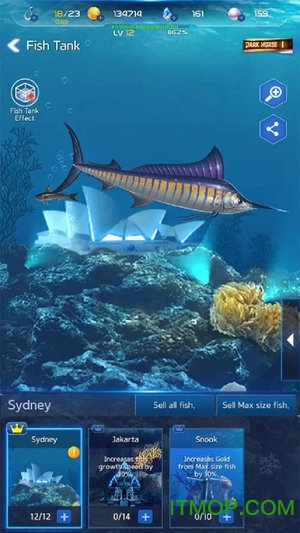 钓鱼大师安卓版