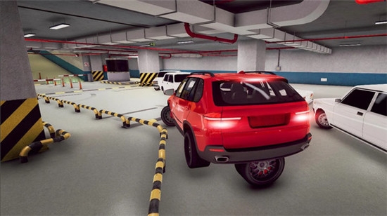 Parking Stop Simulator(疯狂停车模拟器)