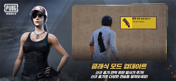 pubg日韩服手游(绝地求生)