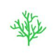 年轮单词官网版