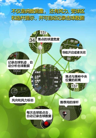 高尔夫大师