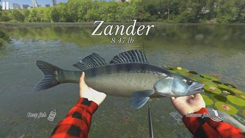 终极钓鱼模拟器 终极钓鱼模拟器