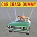 车祸撞击假人Car Crash Dummy