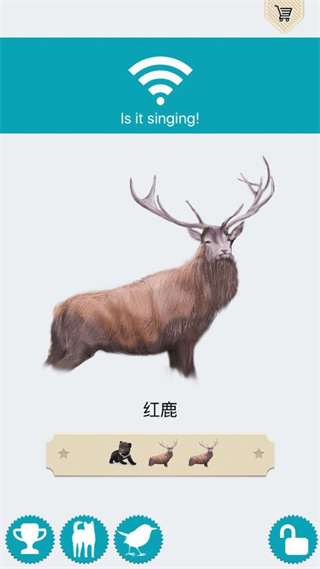 动物的叫声游戏