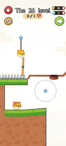 疯狂的狗狗 疯狂的狗狗