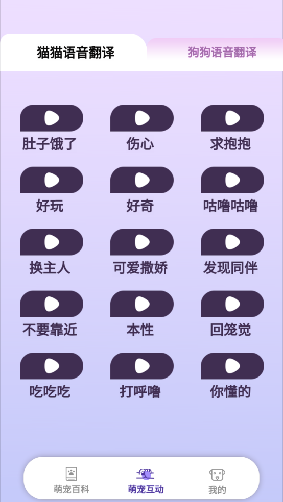 乖宠互动
