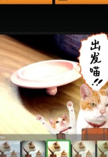 萌喵相机