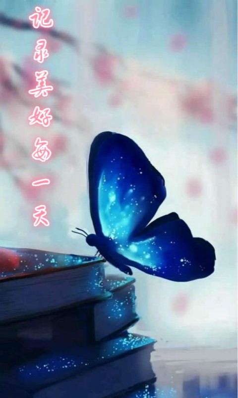 mooncell官网入口手机版