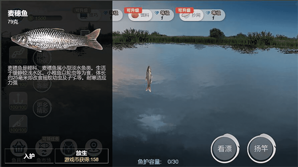 钓鱼绝不空军