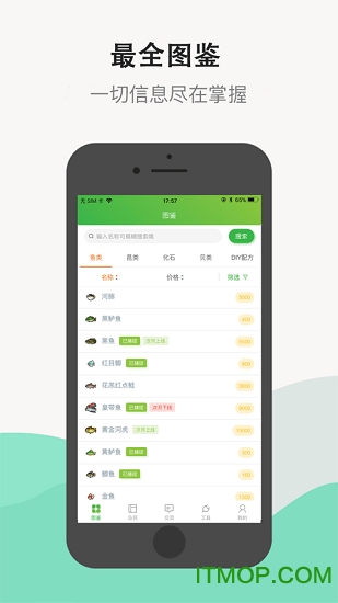 动森助手