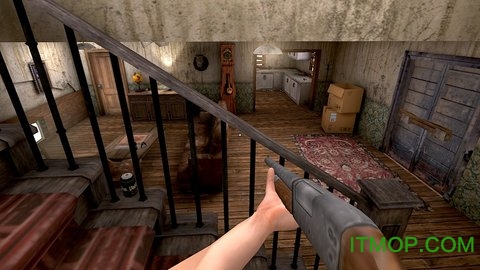 恐怖肉先生无限子弹修改版本