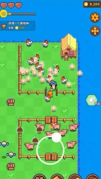 海岛时光种田挖矿无限金币钻石版 免广告版v0.178