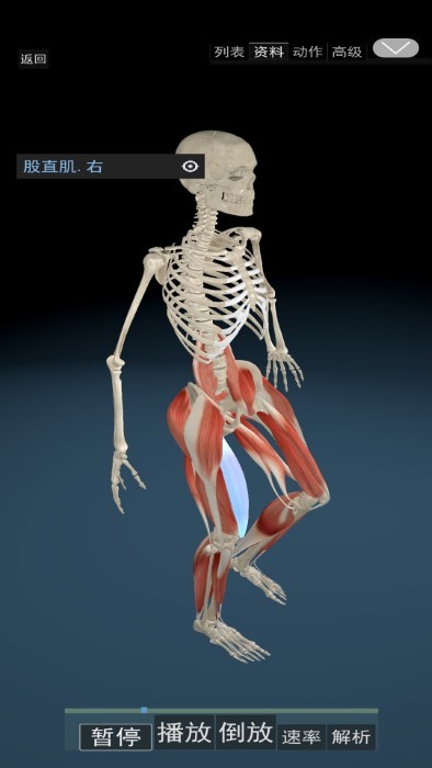 3D运动解剖