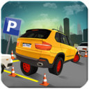 Parking Stop Simulator(疯狂停车模拟器)