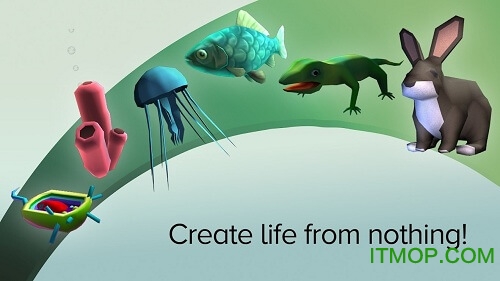 从细胞到奇点进化永无止境