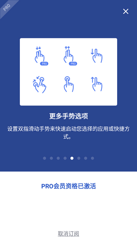 apex launcher pro激活版