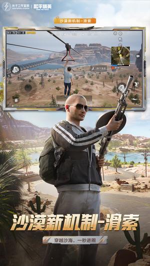 和平精英去广告（Chicken Dinner）