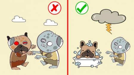 拯救狗狗们Save The Dogs