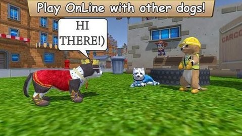 美国ZOOM动物 - 欢迎您!