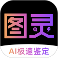 图灵鉴定（AI鉴定）