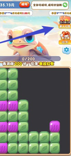 疯狂大海龟